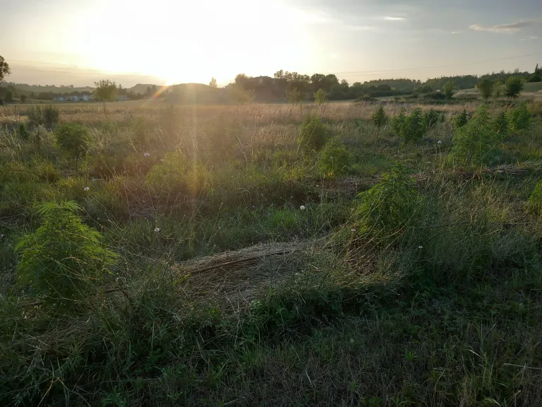 6886923680aa0-large.webp